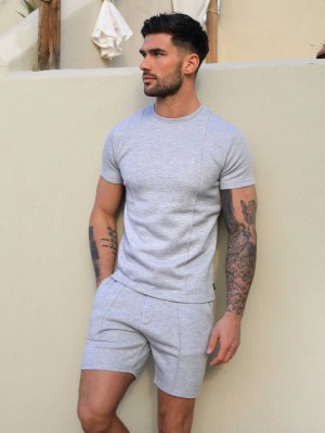 Blakely Amezri Seamline T-Shirt Grigie Chiaro | 6857024-GK