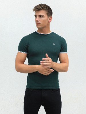 Blakely Andora T-Shirt Verdi | 5931768-BO