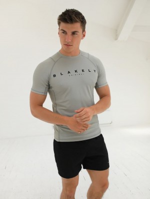 Blakely Apex Active T-Shirt Grigie Chiaro | 7904265-IC
