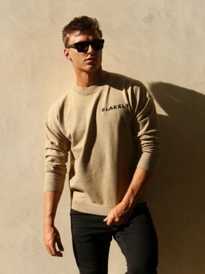 Blakely Blakely Knitted Jumper Tan | 6528709-IJ