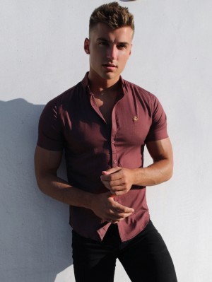 Blakely Brisbane Short Sleeve Shirt Bordeaux | 3456128-TL
