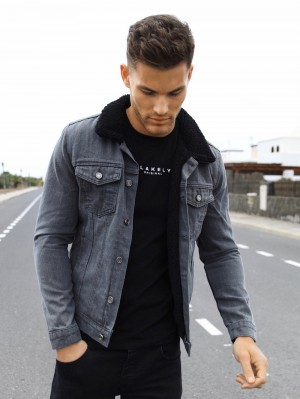 Blakely Daytona Denim Jacket Grigie | 3095874-BR