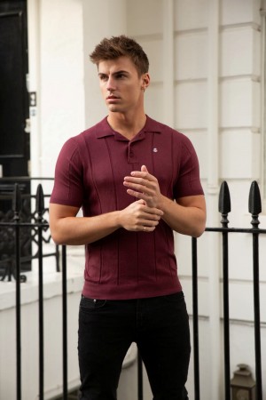 Blakely Finsbury Polo Shirt Bordeaux | 5179824-FZ