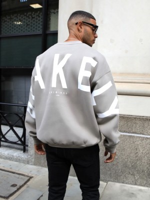 Blakely Idris Oversized Jumper Grigie | 1279546-WL
