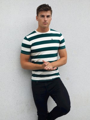 Blakely Loano Stripe T-Shirt Verdi | 2479108-MG