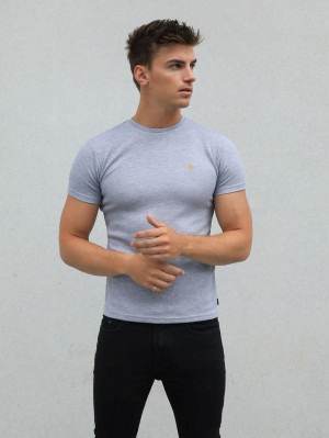 Blakely Recco T-Shirt Grigie | 1897062-OM