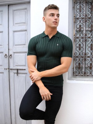 Blakely Sidi Textured Stripe Polo Verdi | 8670142-BR