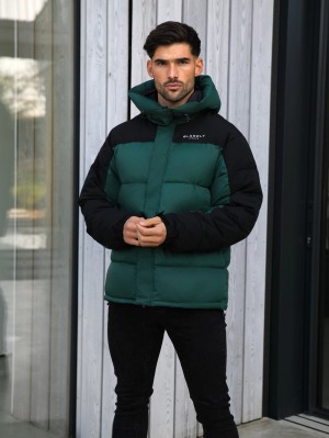 Blakely Tampa Puffer Coat Verdi | 2491358-RT