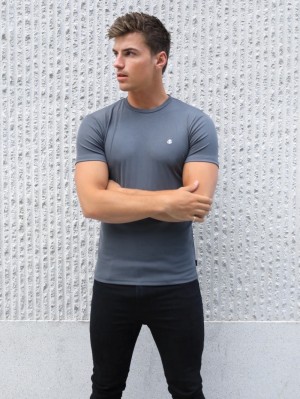 Blakely Torbora T-Shirt Grigie | 8273946-RO